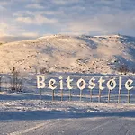 Modern Family With In Out, Location In Beitostolen