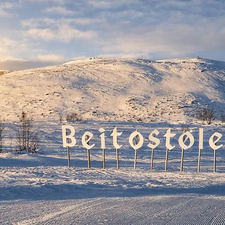 Modern Family With In Out, Location In Beitostolen