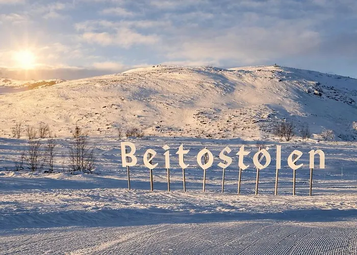 Modern Family With In Out, Location In Beitostolen